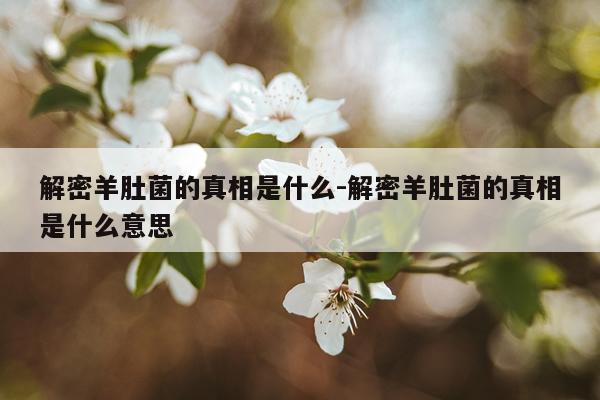 解密羊肚菌的真相是什么-解密羊肚菌的真相是什么意思