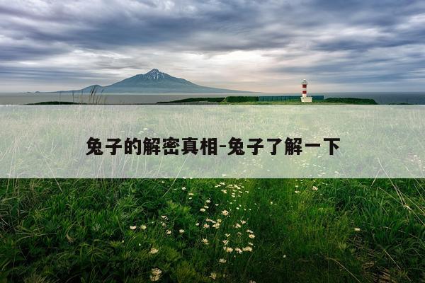 兔子的解密真相-兔子了解一下