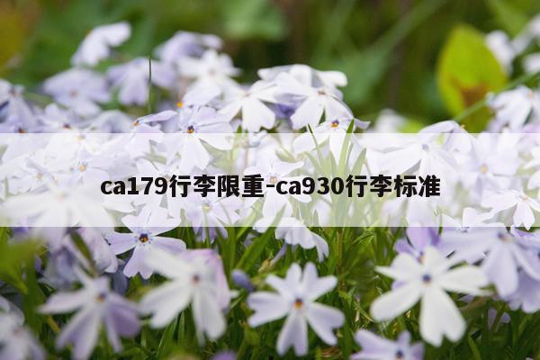 ca179行李限重-ca930行李标准
