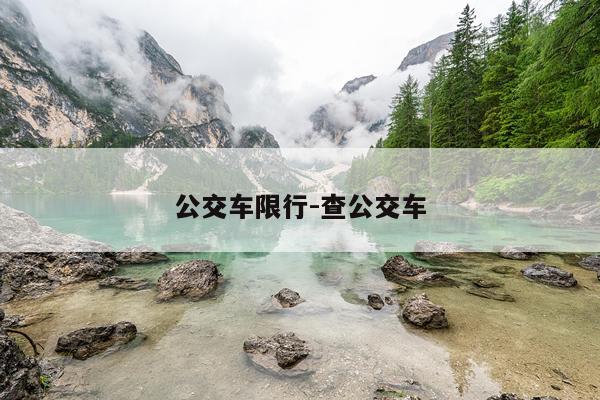 公交车限行-查公交车
