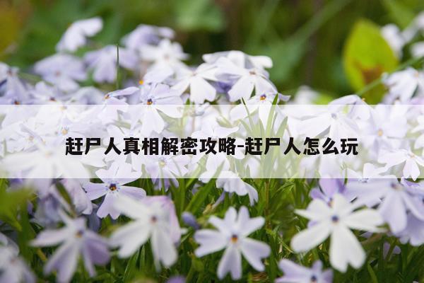 赶尸人真相解密攻略-赶尸人怎么玩