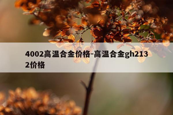 4002高温合金价格-高温合金gh2132价格