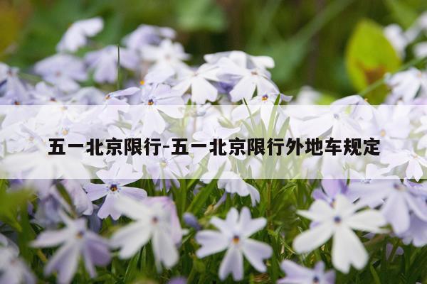 五一北京限行-五一北京限行外地车规定