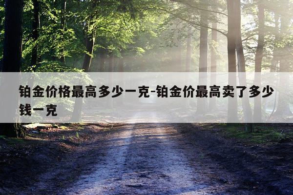 铂金价格最高多少一克-铂金价最高卖了多少钱一克