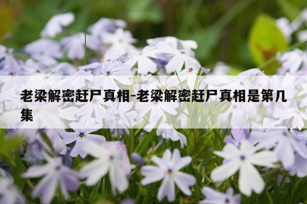 老梁解密赶尸真相-老梁解密赶尸真相是第几集