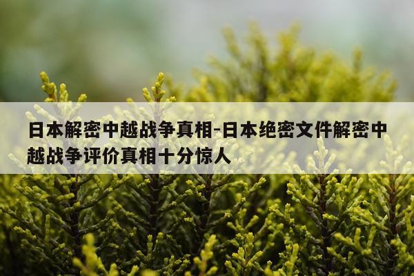 日本解密中越战争真相-日本绝密文件解密中越战争评价真相十分惊人