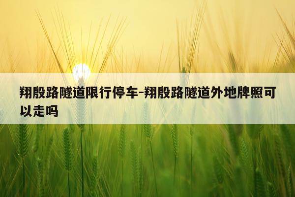 翔殷路隧道限行停车-翔殷路隧道外地牌照可以走吗