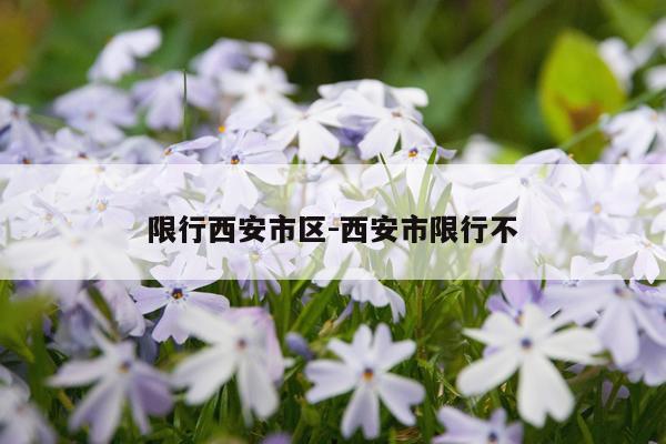 限行西安市区-西安市限行不