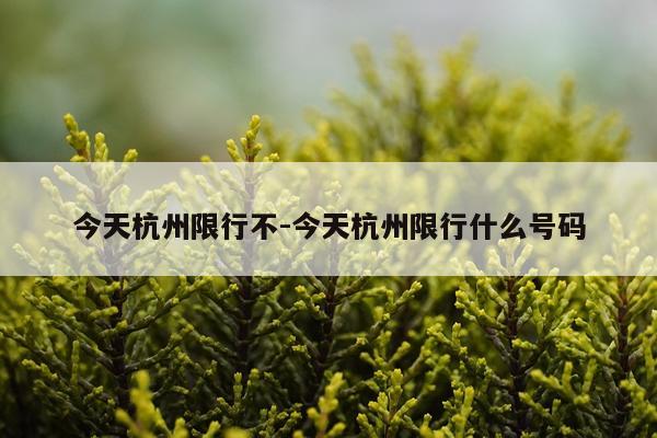 今天杭州限行不-今天杭州限行什么号码