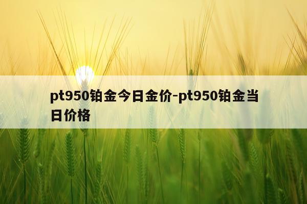pt950铂金今日金价-pt950铂金当日价格
