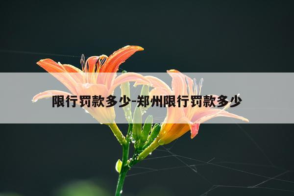 限行罚款多少-郑州限行罚款多少