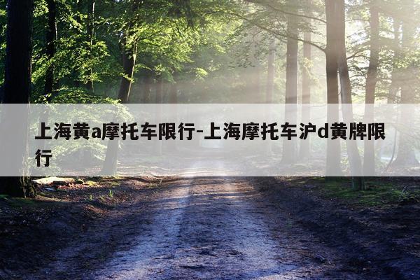 上海黄a摩托车限行-上海摩托车沪d黄牌限行