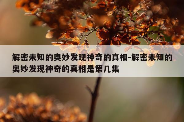 解密未知的奥妙发现神奇的真相-解密未知的奥妙发现神奇的真相是第几集