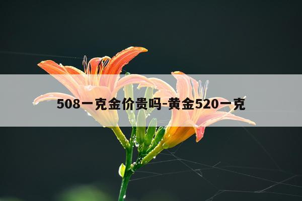508一克金价贵吗-黄金520一克