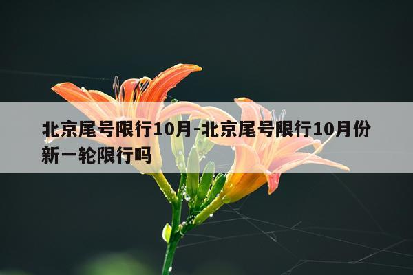 北京尾号限行10月-北京尾号限行10月份新一轮限行吗