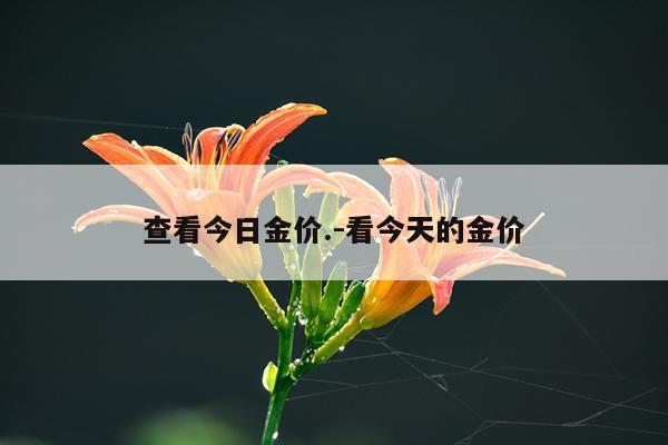 查看今日金价.-看今天的金价