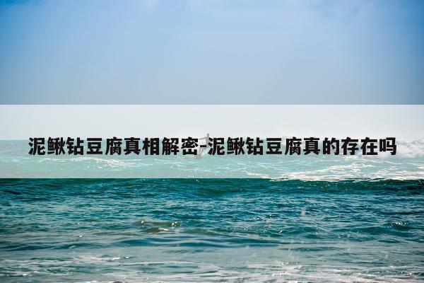 泥鳅钻豆腐真相解密-泥鳅钻豆腐真的存在吗