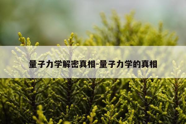量子力学解密真相-量子力学的真相