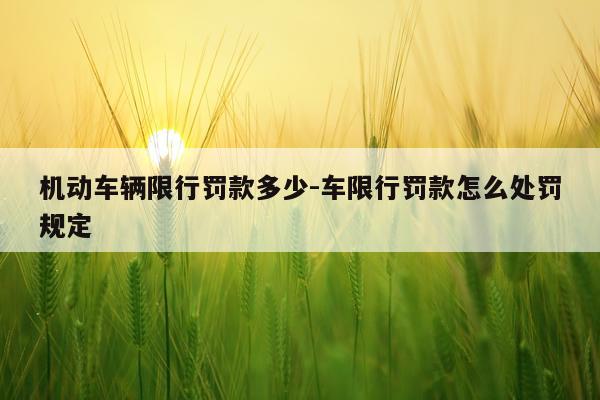 机动车辆限行罚款多少-车限行罚款怎么处罚规定