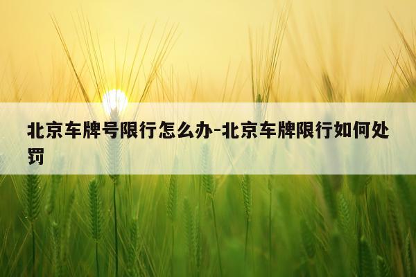北京车牌号限行怎么办-北京车牌限行如何处罚