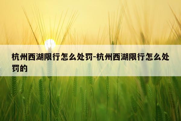 杭州西湖限行怎么处罚-杭州西湖限行怎么处罚的