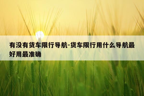 有没有货车限行导航-货车限行用什么导航最好用最准确