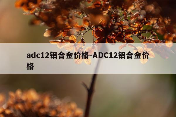 adc12铝合金价格-ADC12铝合金价格
