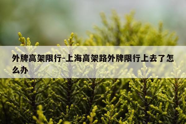 外牌高架限行-上海高架路外牌限行上去了怎么办