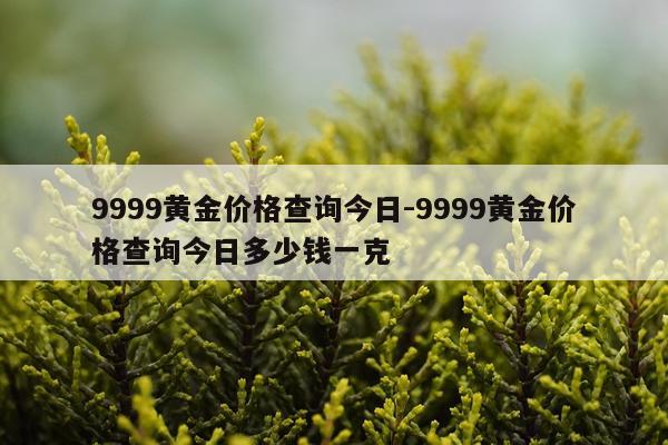 9999黄金价格查询今日-9999黄金价格查询今日多少钱一克