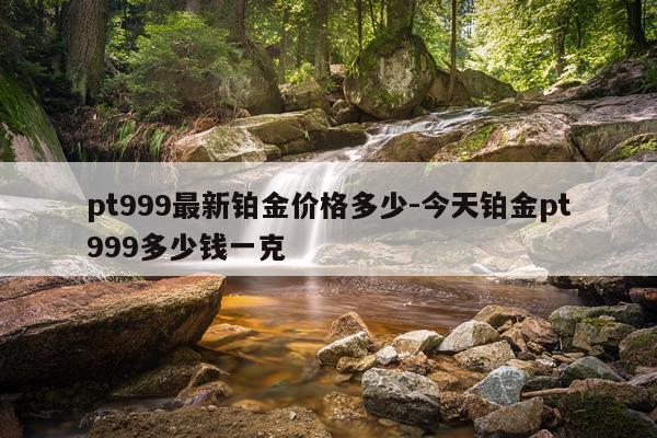 pt999最新铂金价格多少-今天铂金pt999多少钱一克