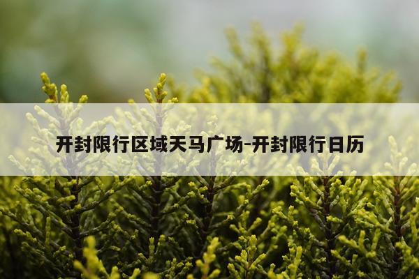 开封限行区域天马广场-开封限行日历