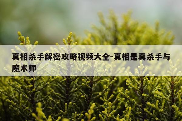 真相杀手解密攻略视频大全-真相是真杀手与魔术师