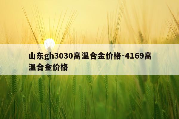 山东gh3030高温合金价格-4169高温合金价格