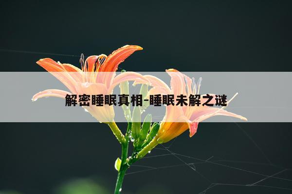 解密睡眠真相-睡眠未解之谜