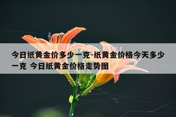 今日纸黄金价多少一克-纸黄金价格今天多少一克 今日纸黄金价格走势图