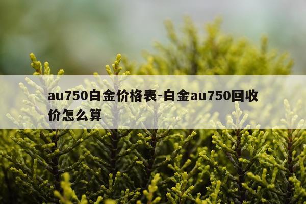 au750白金价格表-白金au750回收价怎么算