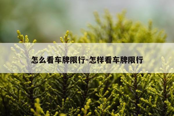 怎么看车牌限行-怎样看车牌限行