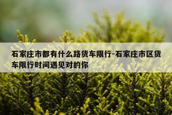 石家庄市都有什么路货车限行-石家庄市区货车限行时间遇见对的你