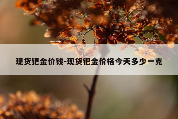 现货钯金价钱-现货钯金价格今天多少一克