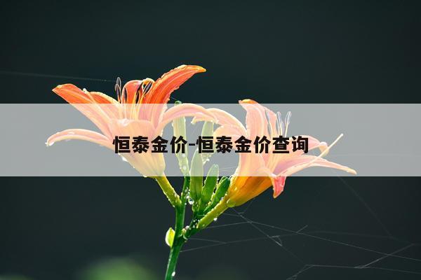 恒泰金价-恒泰金价查询