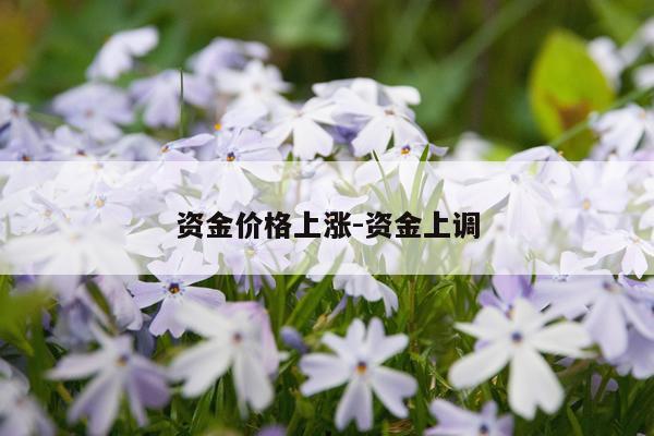 资金价格上涨-资金上调