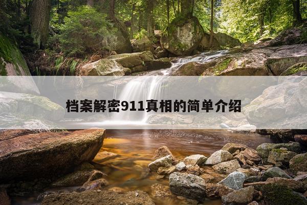 档案解密911真相的简单介绍