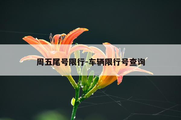 周五尾号限行-车辆限行号查询