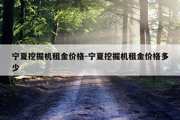宁夏挖掘机租金价格-宁夏挖掘机租金价格多少