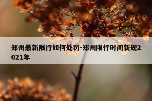 郑州最新限行如何处罚-郑州限行时间新规2021年