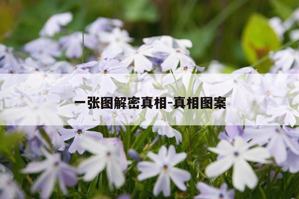 一张图解密真相-真相图案