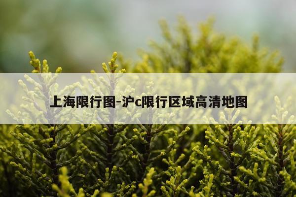 上海限行图-沪c限行区域高清地图