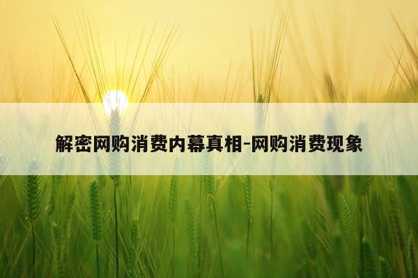 解密网购消费内幕真相-网购消费现象