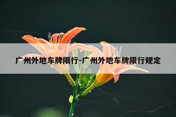 广州外地车牌限行-广州外地车牌限行规定
