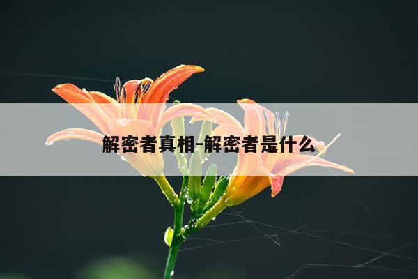 解密者真相-解密者是什么